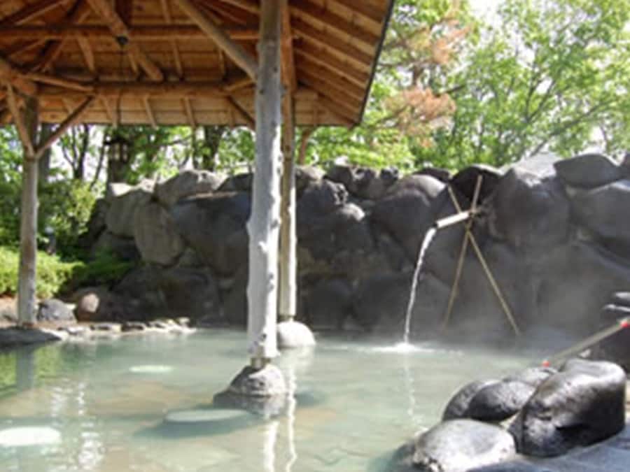 Chambre (B) | Salle de bain | Douche, articles de toilette (gratuits), séchoir à cheveux, pantoufles