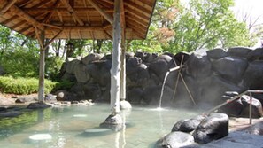 客房 (B) | 浴室 | 淋浴设施、免费洗浴用品、吹风机、拖鞋