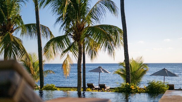 A poolside view with palm trees and lounge chairs. - Kubu Indah Dive & Spa Resort (Kubu)