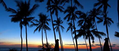 Une scène de plage avec des palmiers et un coucher de soleil.