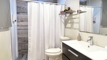 Apartment | Bathroom | Shower, hair dryer, towels, soap