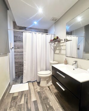 Departamento | Baño | Regadera, secadora de cabello, toallas, jabón 