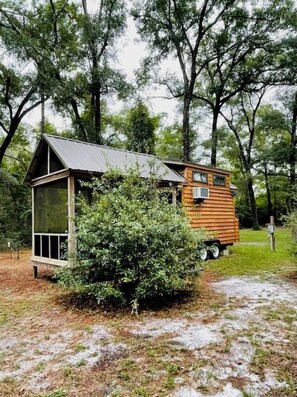 Escape to a secluded cabin nestled among lush greenery, with a pathway leading to its rustic charm.