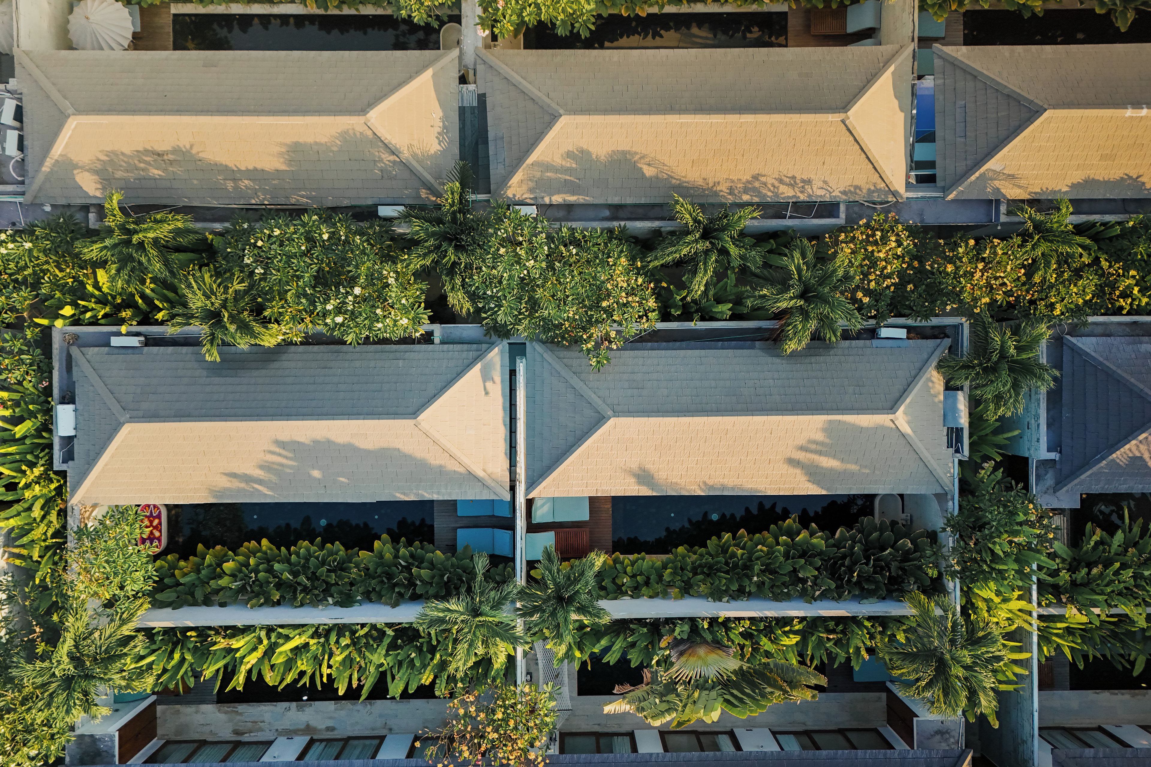Un edificio de varios pisos con jardín en la azotea y piscina.