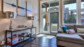 TV, fireplace, video games, stereo