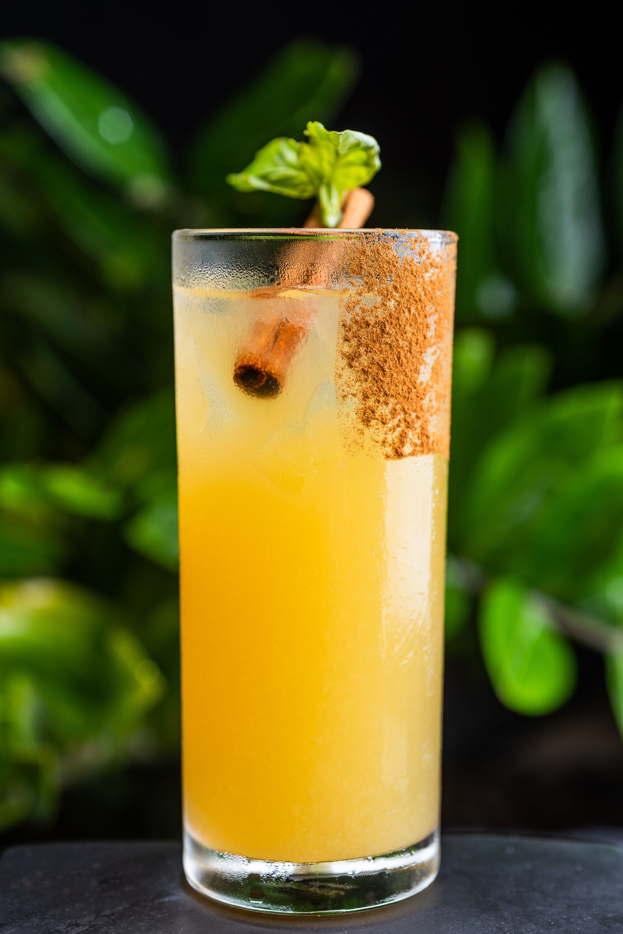 A tall glass of orange juice with a cinnamon stick and mint garnish, set against a dark background with green foliage.