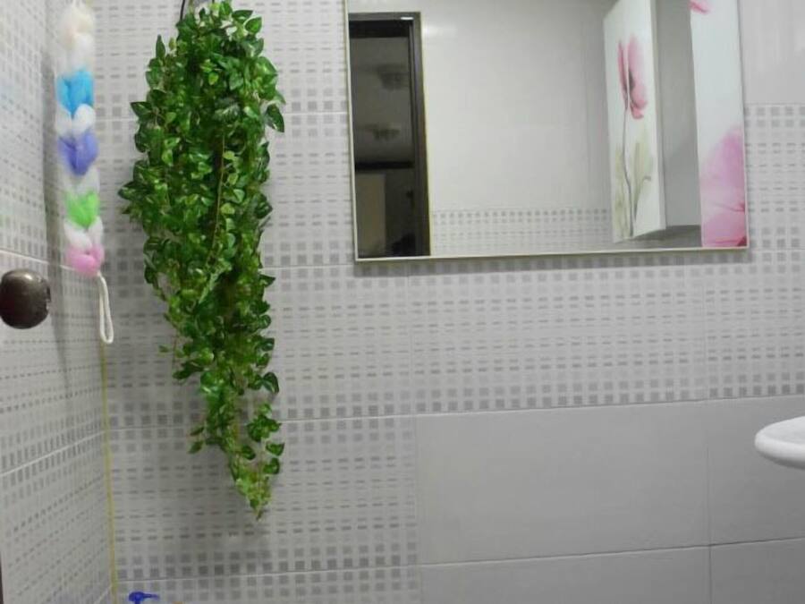 Une salle de bain avec une plante verte suspendue, un miroir et une étagère contenant des articles de toilette.