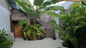 A small, enclosed garden area with various plants, including banana trees and potted plants, surrounded by wooden walls and a concrete floor. - Rasdhoo Wave Blue (Rasdhoo)