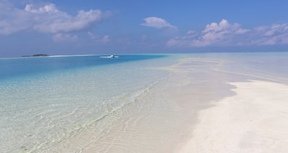 Rasdhoo Wave Blue