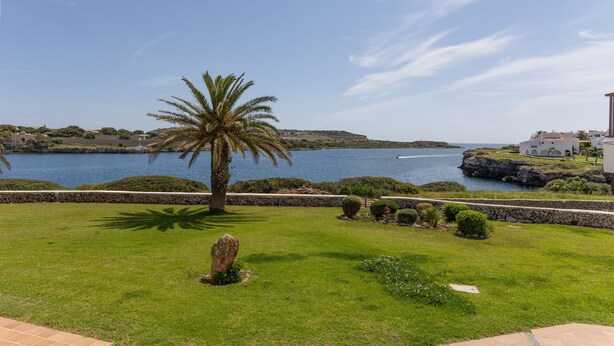 Paisaje costero con una palmera, un sendero de piedra y vistas al mar y edificios a la distancia.
