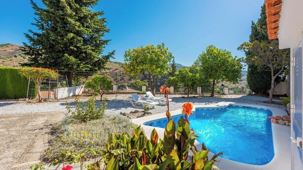 A swimming pool with a clear blue water, surrounded by a garden with various plants and trees. - El Olivo de Macharaviaya by Ruralidays (Málaga)