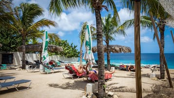 Playa en los alrededores, buceo y snorkel