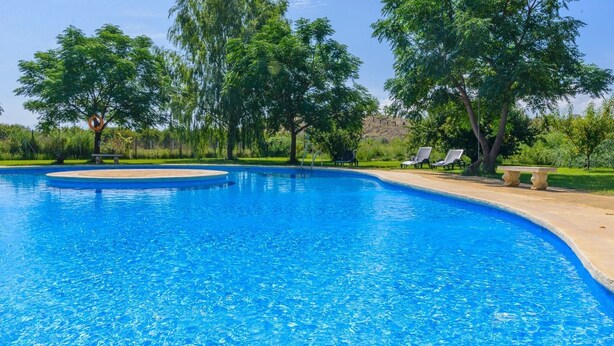 Ein klarer, blauer Pool mit geschwungener Kante, umgeben von Bäumen und einer Rasenfläche.