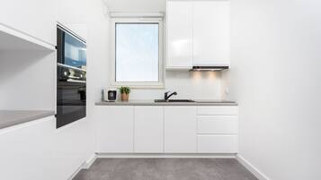 Classic Apartment | Private kitchen | Stovetop, electric kettle