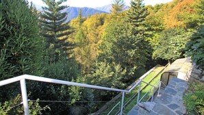 Un escalier en pierre descend une colline boisée, offrant une vue sur les montagnes au loin.