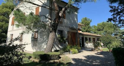 Wonderful private villa for 8 people with WIFI, TV, pets allowed and panoramic view