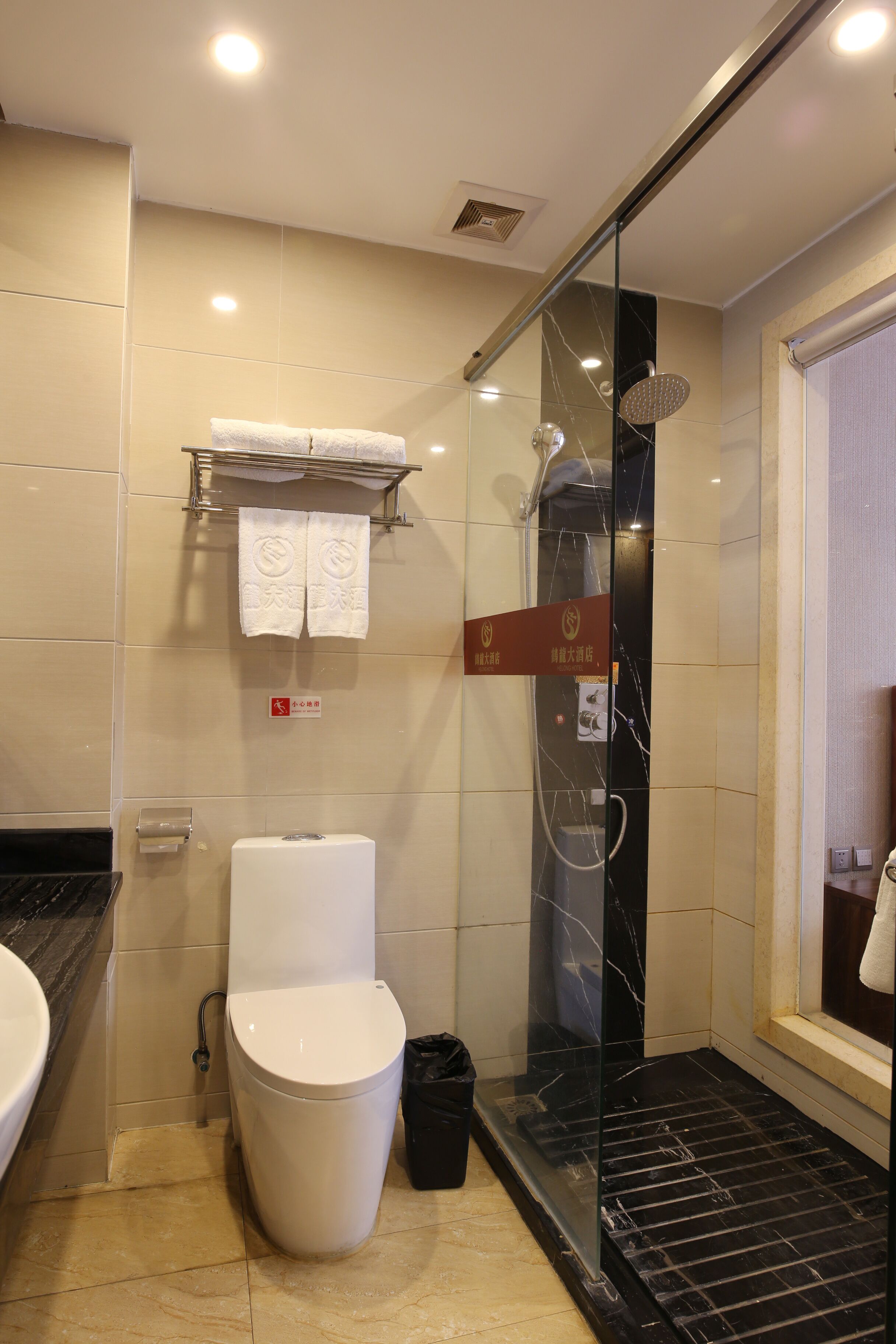 A modern bathroom with a glass-enclosed shower, a toilet, and a sink.