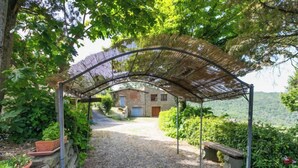 A covered pathway leading to a stone building with a wooden door, surrounded by greenery and a mountainous backdrop. - Ridaldi by Interhome (Greve in Chianti)
