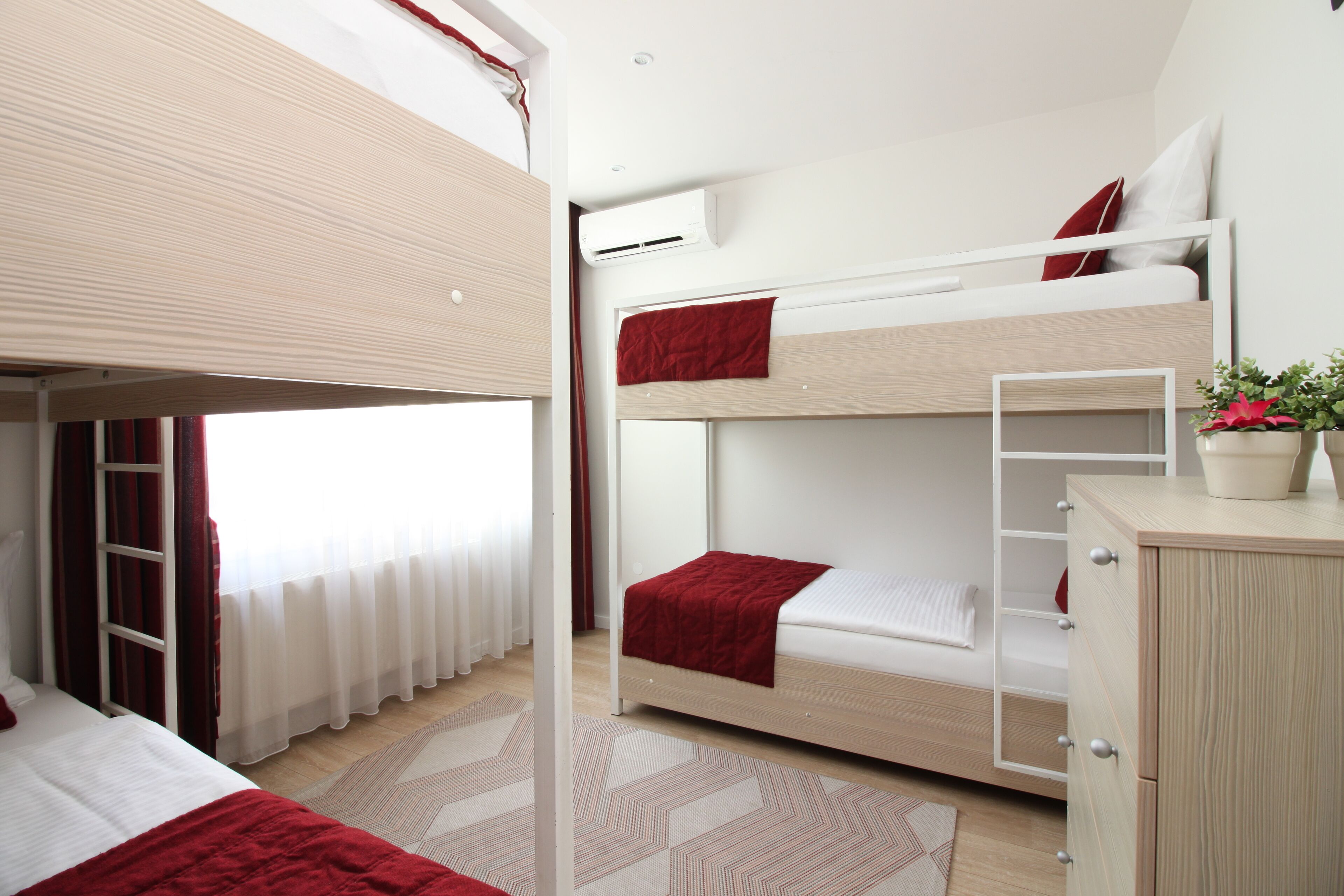 A bunk bed room with a wooden wardrobe, a ladder, and a potted plant.