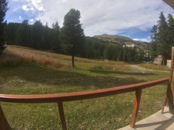 A view from a balcony with a railing, overlooking a grassy area with trees and a distant mountain range.