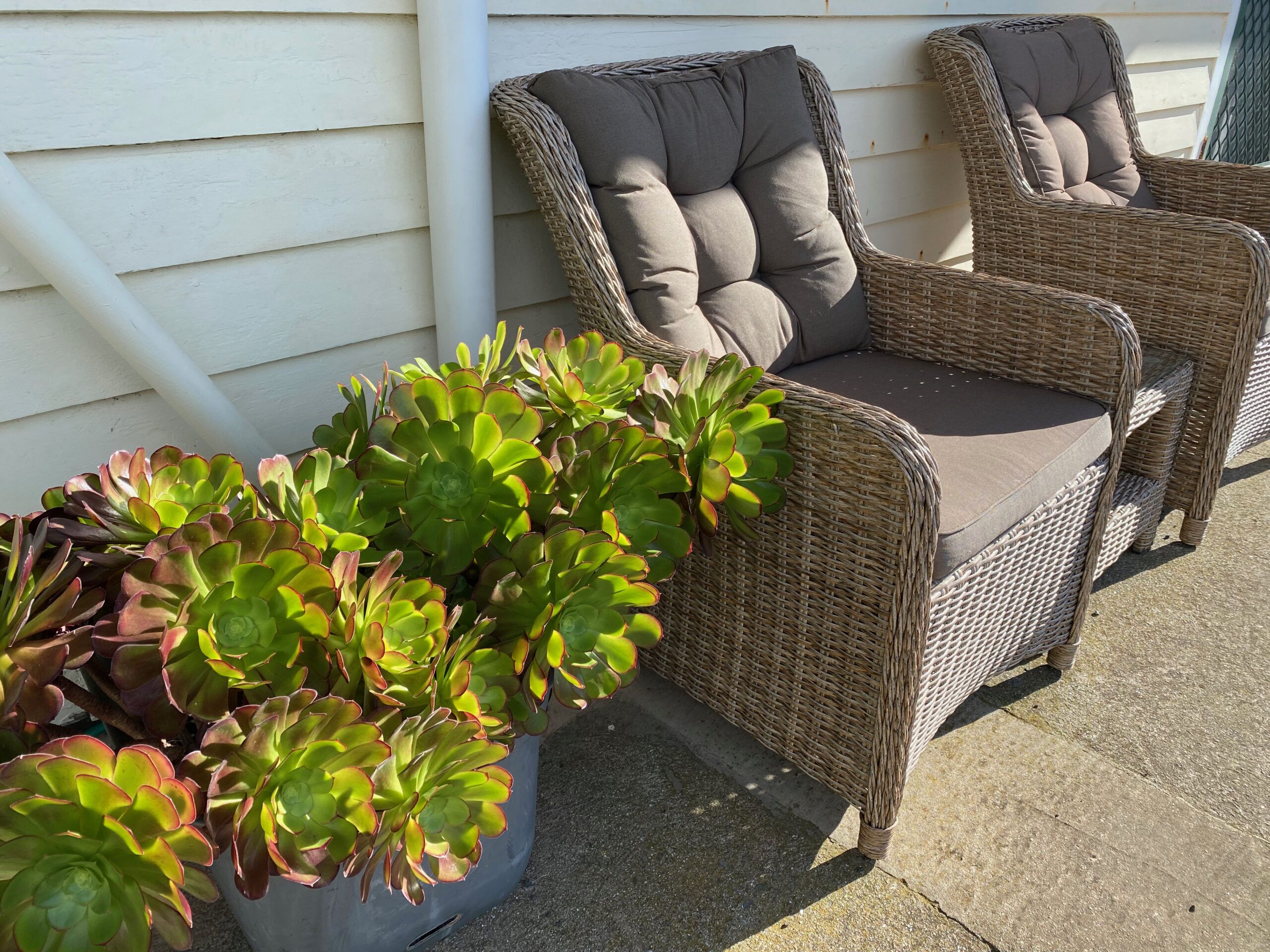 Áreas de la propiedad