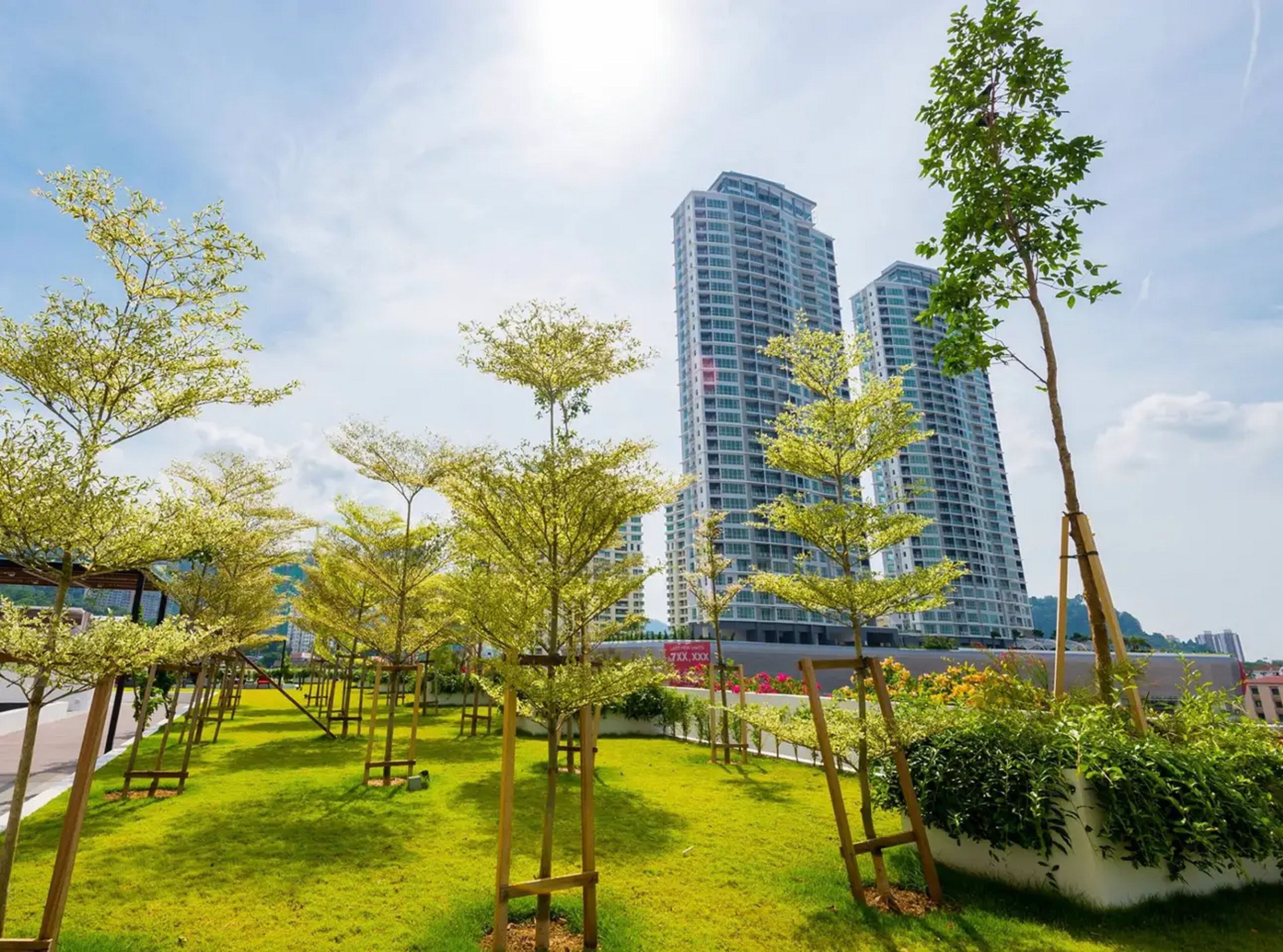 Área da propriedade