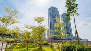 A landscaped area with trees and grass in front of tall buildings.