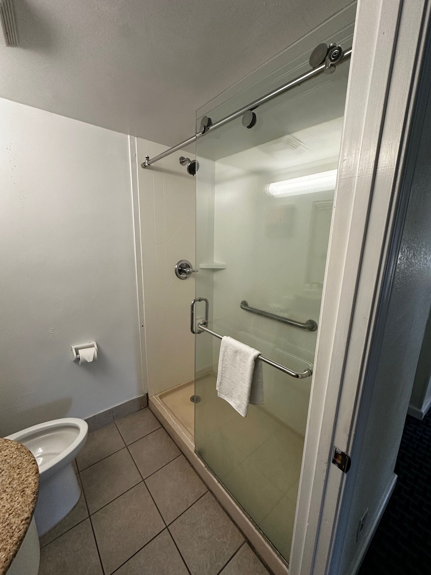 A bathroom with a glass-enclosed shower, a toilet, and a towel rack.