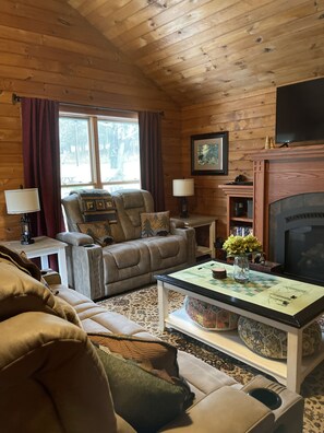 Smart TV, chimenea, reproductor de DVD y libros 