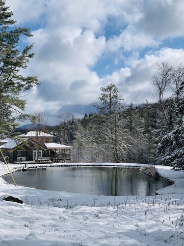 Moonlight Reflections