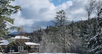 Moonlight Reflections