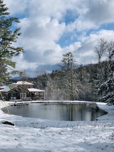 Moonlight Reflections