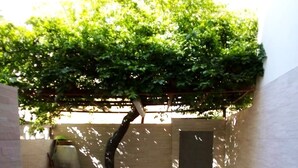A small, enclosed outdoor area with tiled flooring, a bench, and a hose.