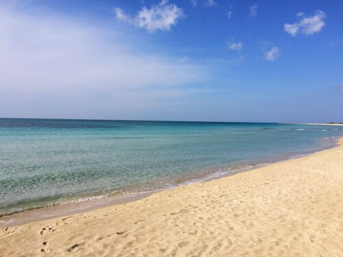 CALALUNA 2-room apartment for 5 to 180 meters Lido Marini sea