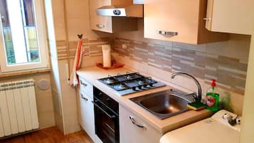 Fridge, stovetop, cookware/dishes/utensils