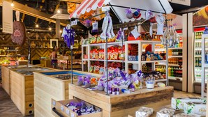 A store with a wooden counter displaying various packaged goods and a refrigerated section in the background. - Happy Camp in Amadria Park Camping Trogir (Seget)