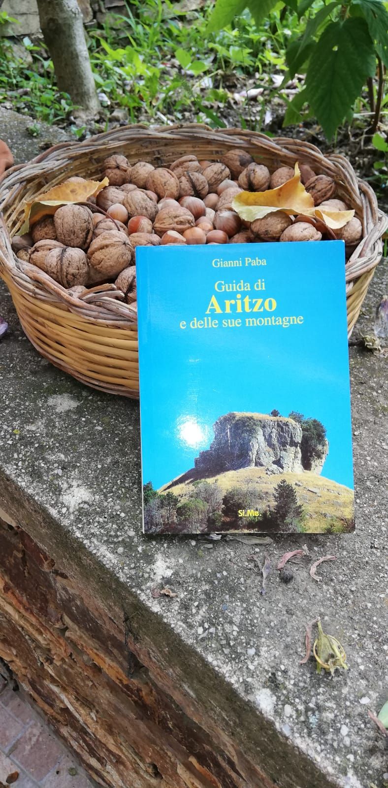 Un libro intitolato 'Guida di Aritzo e delle sue montagne' su una superficie in pietra, con un cesto di noci sullo sfondo.