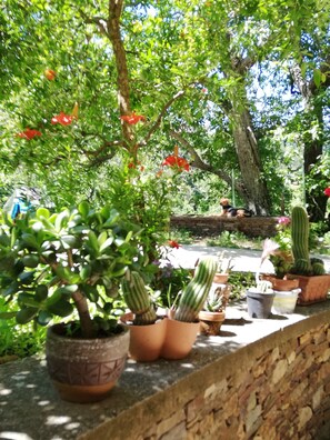 Garden view - L'Agrifoglio (Aritzo)