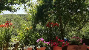 A stone wall with potted plants and cacti. - L'Agrifoglio (Aritzo)