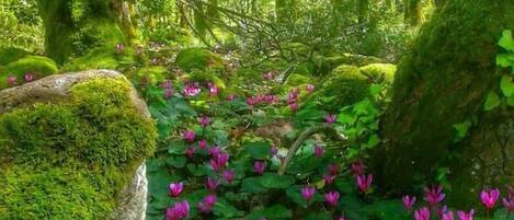 Terrein van de accommodatie