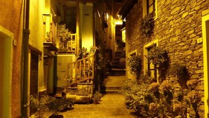 A narrow alleyway with stone walls and potted plants. - L'Agrifoglio (Aritzo)