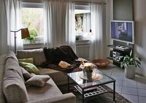 Télévision, lecteur de DVD, livres, vidéothèque