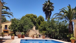 Une piscine rectangulaire à l’eau d’un bleu limpide, entourée d’une zone sablonneuse et agrémentée de différentes plantes en pot.