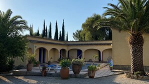Une cour avec une piscine, des palmiers et des plantes en pot.