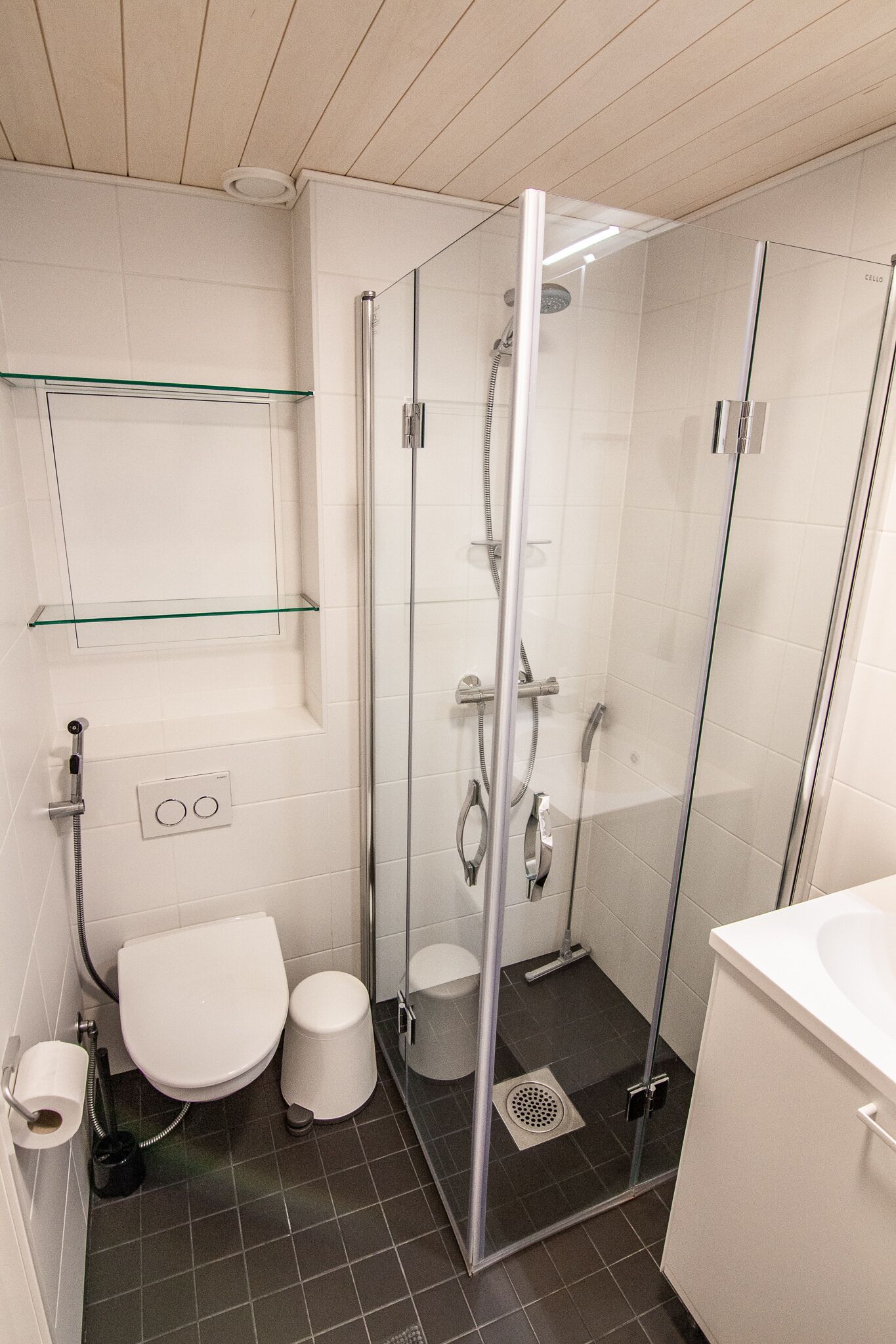 Moderni kylpyhuone, jossa on lasiseinällä varustettu suihku, wc ja pesuallas.