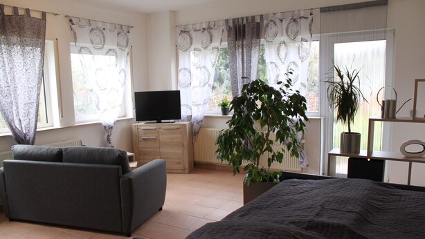 A bedroom with a bed, a sofa, a TV, and two potted plants. - Stollis FeWo (Bensheim)