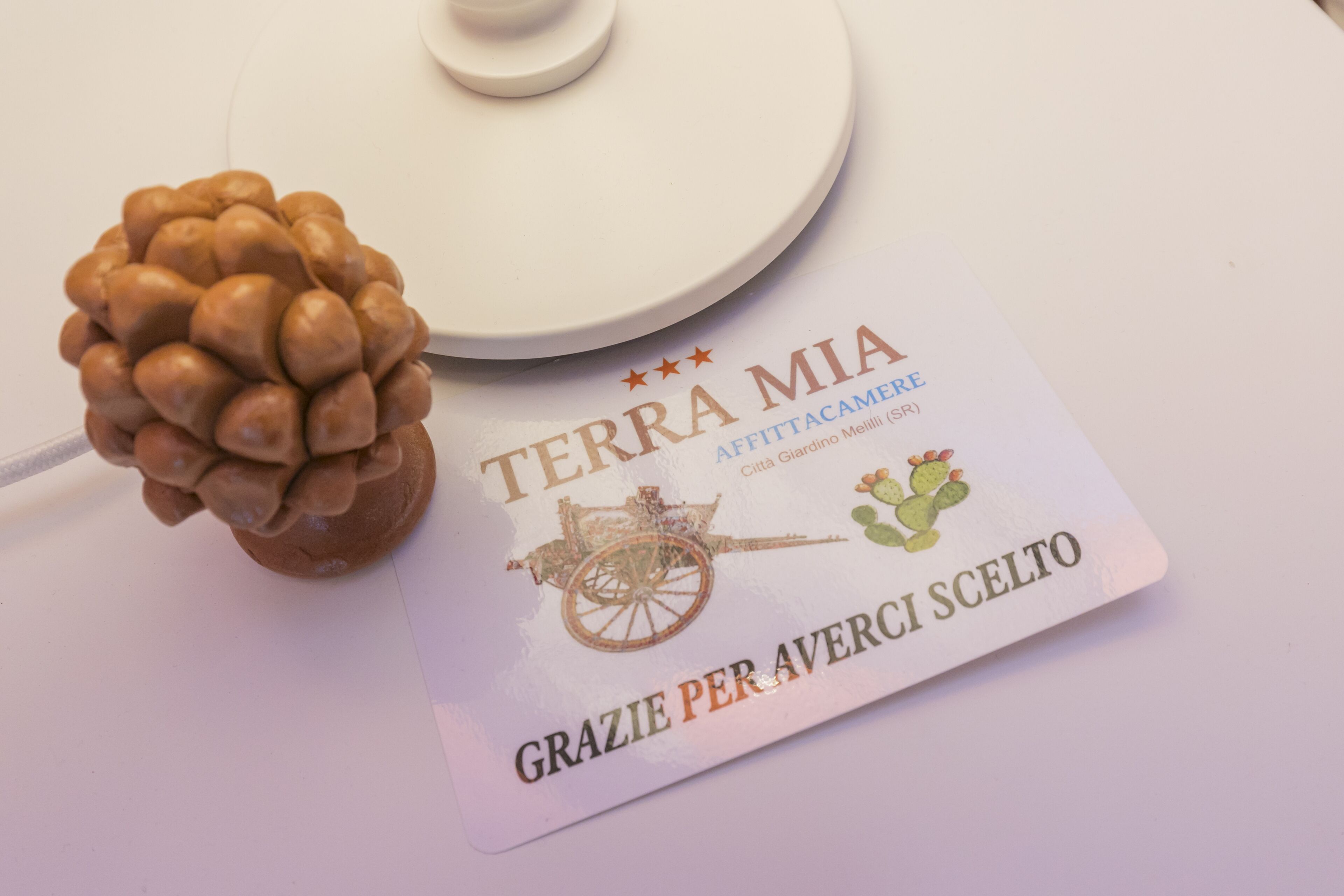 A book titled "TERRA MIA" with a cactus illustration and a wheelbarrow image.