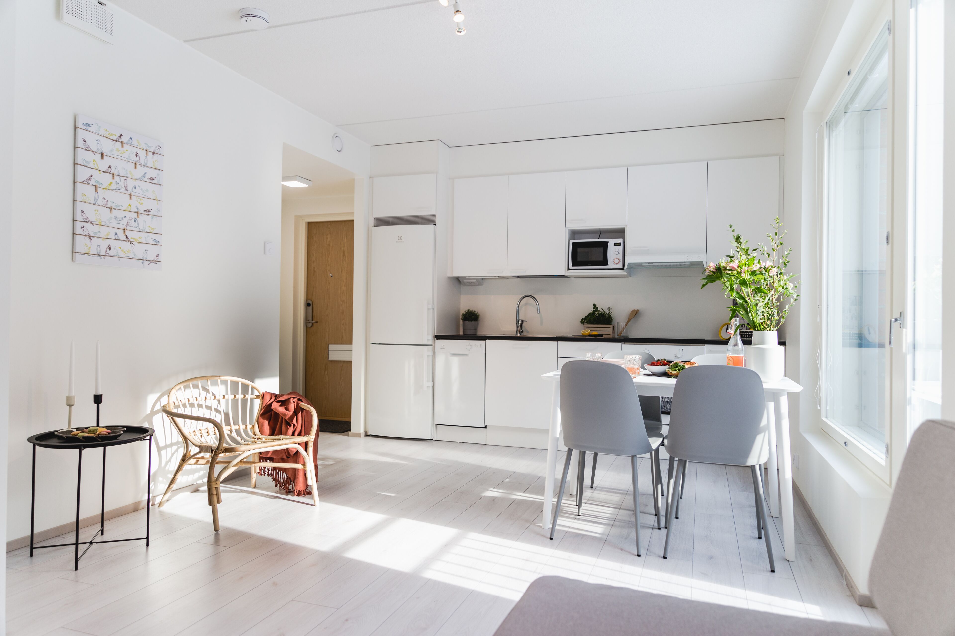 Two Room Apartment | Yksityinen keittiö | Jääkaappi, mikroaaltouuni, uuni, liesi