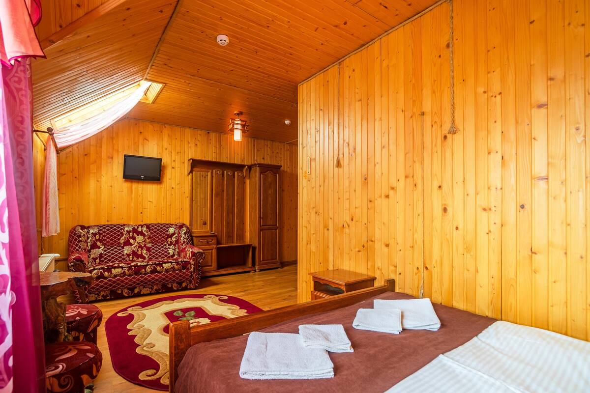 Ein Zimmer mit Holzwänden, einem Bett, einem Schlafsofa, einem Fernseher und einem kleinen Tisch.
