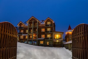 Front of property - evening/night - Villa Milena (Bukovel)